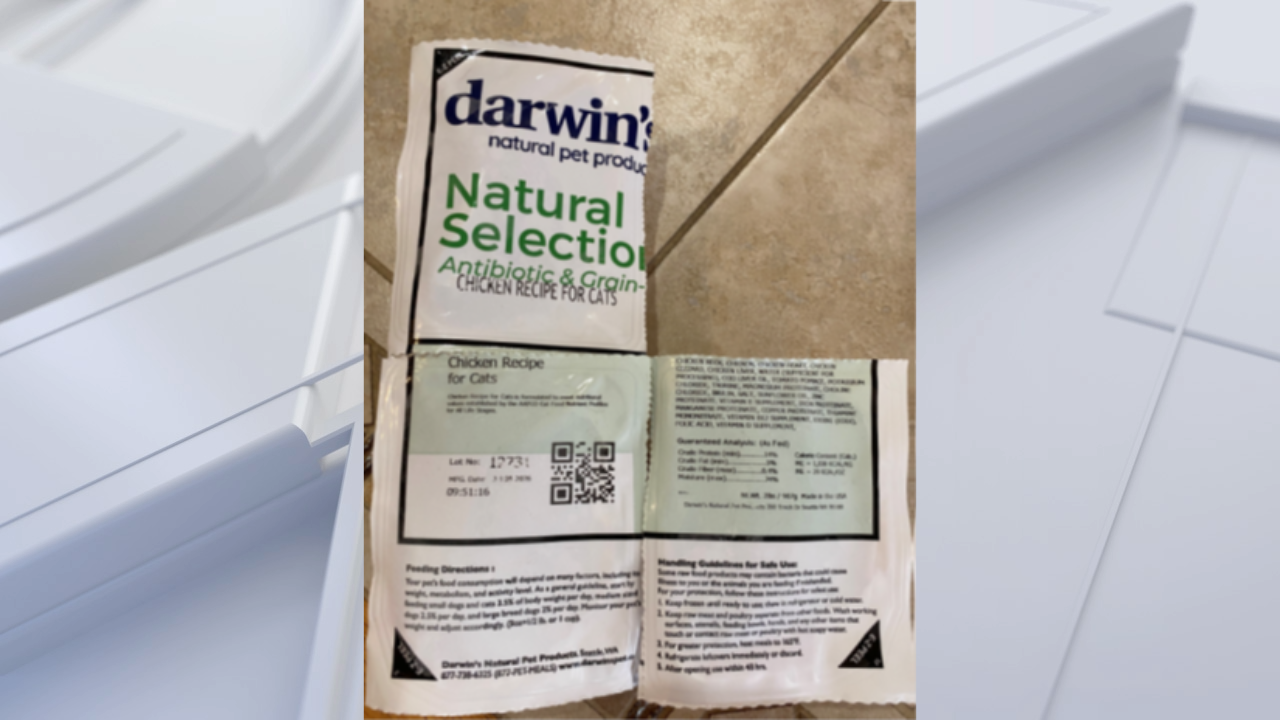 FDA warns pet owners after salmonella found in frozen cat food — Rockville Centre Community news